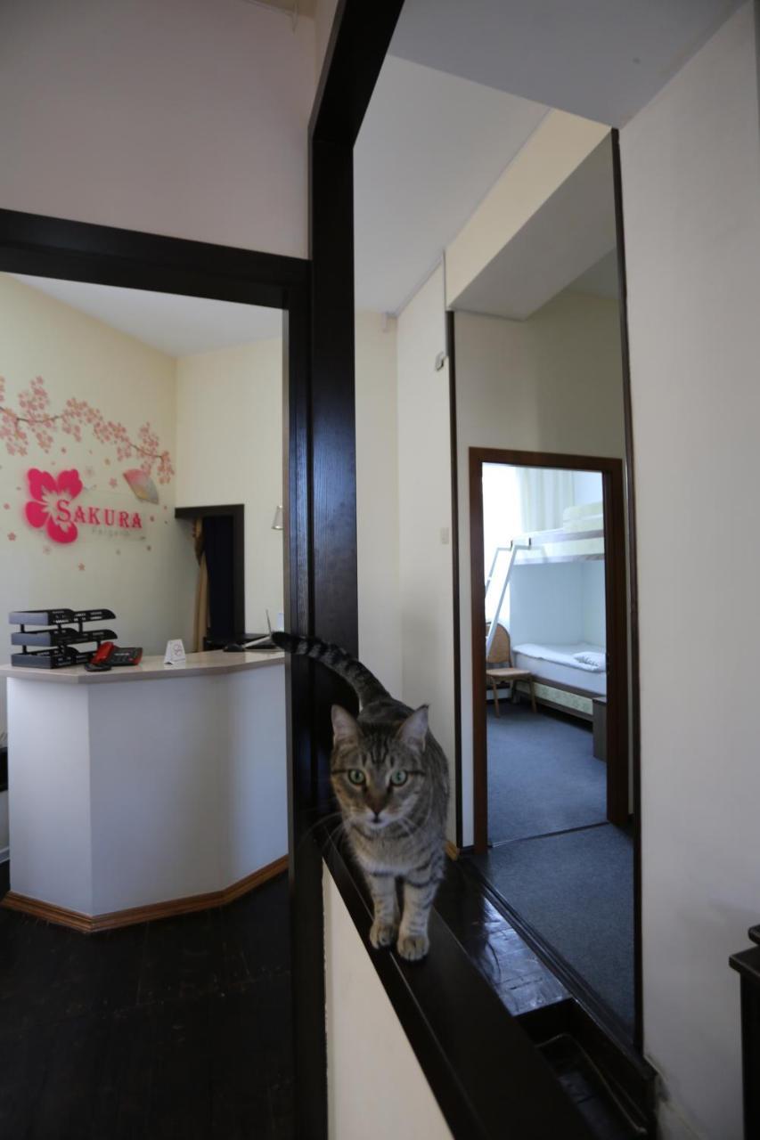 Sakura Inn Ferghana Extérieur photo
